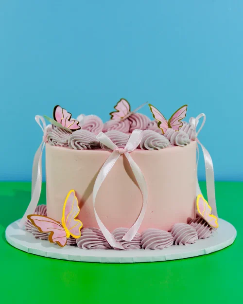Mini Message Butterfly Cake